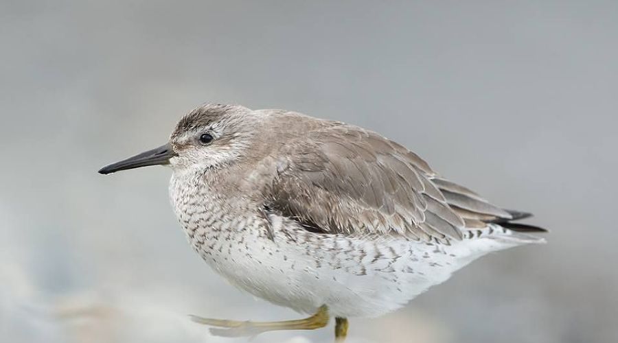  © facebook.com/alexshkolny и instagram.com/alex_shkolny