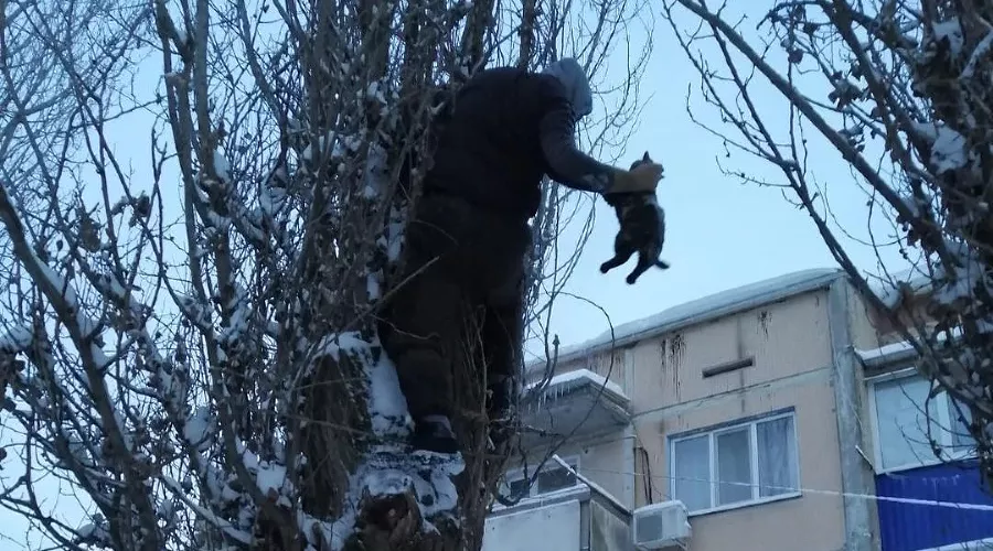  &copy;&nbsp;Фото из инстаграма ЕДДС Новопокровской, instagram.com/edds_novopokrovskaya