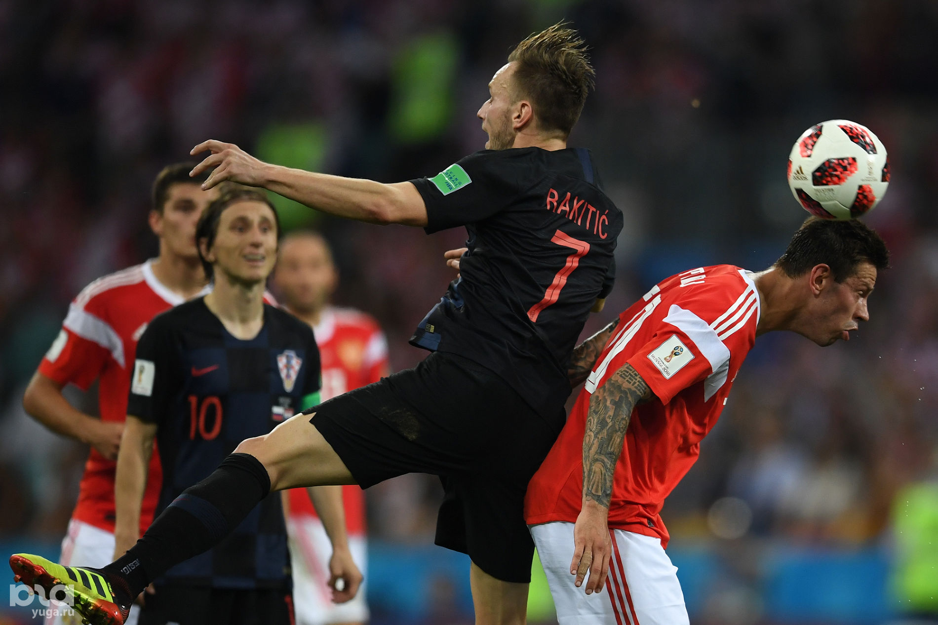 1 4 чемпионата