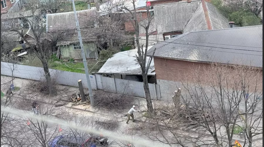  &copy;&nbsp;Скриншот из чата &laquo;МЦУ Краснодар&raquo; https://t.me/c/1629949599/140262