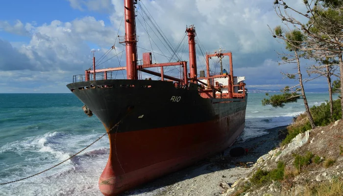 Сухогруз «Rio» &copy;&nbsp;Фото SegaBlackSea, instagram.com/segablacksea