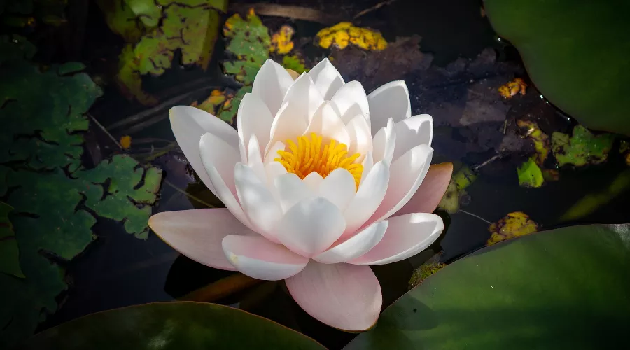  &copy;&nbsp;Фото Wirestock, freepik.com