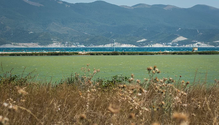 Вид на Суджукскую лагуну &copy;&nbsp;Фото Елены Синеок, Юга.ру