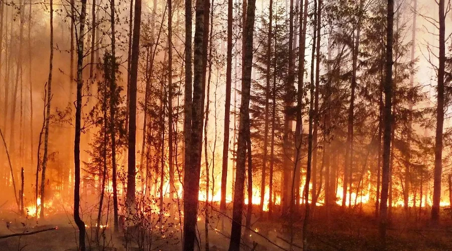  &copy;&nbsp;Фото пресс-службы ГУ МЧС России по Краснодарскому краю