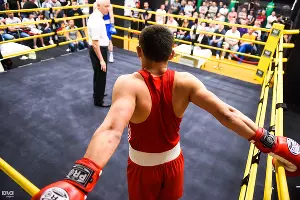 Турнир краснодарской Лиги Бокса &copy;&nbsp;Фото Елены Синеок, Юга.ру