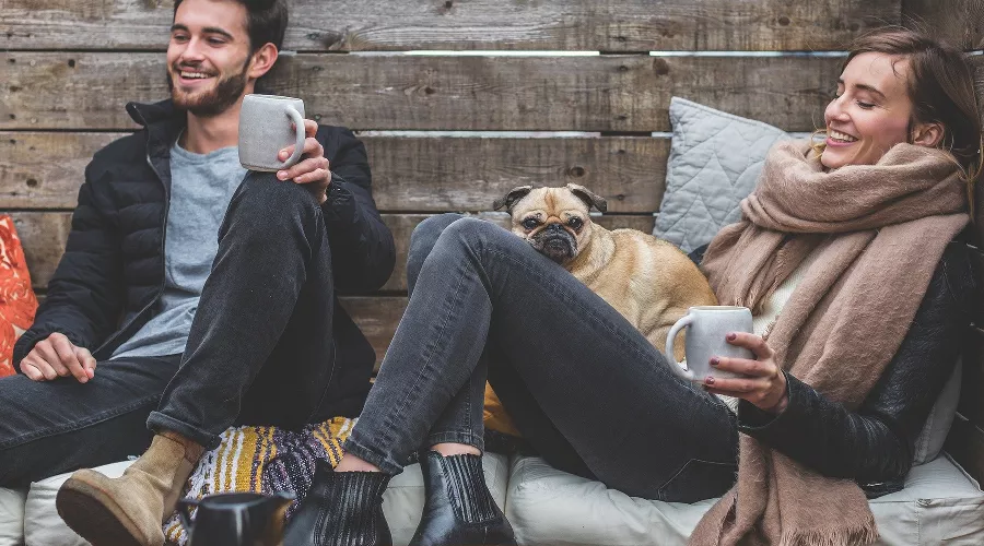  &copy;&nbsp;Фото ID 5688709 с сайта pixabay.com