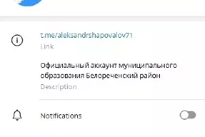  &copy;&nbsp;Скриншот t.me/aleksandrshapovalov71