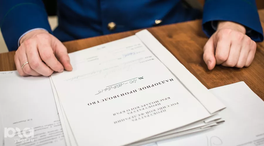  &copy;&nbsp;Елена Синеок, Юга.ру