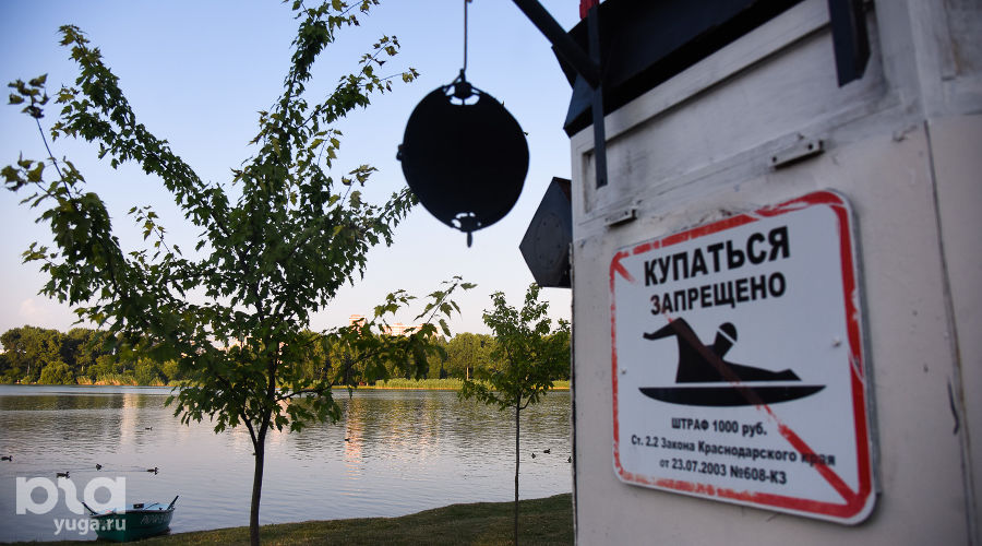  &copy;&nbsp;Фото Елены Синеок, Юга.ру