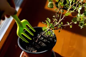  &copy;&nbsp;Фото Natali Brill, freepik.com