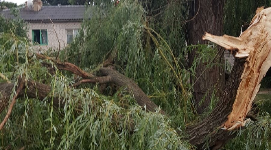  © Фото пресс-службы администрации Минераловодского городского округа