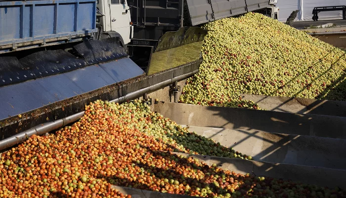  &copy;&nbsp;Фото торговой сети &laquo;Пятёрочка&raquo;