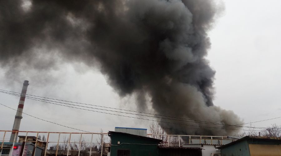  © Фото пользователя «Мир Рыбалки» в группе «Типичный Краснодар», vk.com/typical_krd