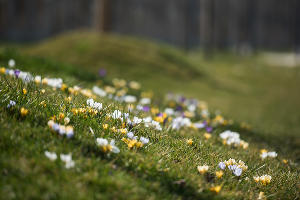 Парк «Краснодар»  &copy;&nbsp;Фото Елены Синеок, Юга.ру