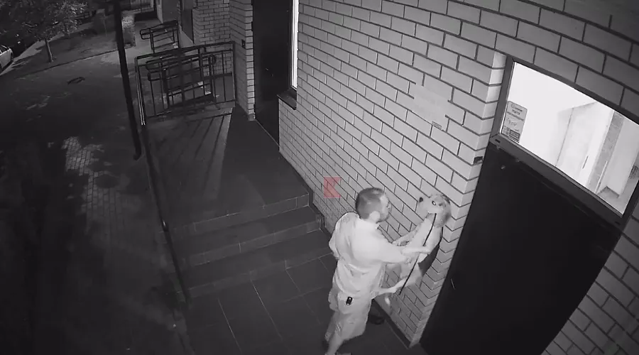  &copy;&nbsp;Скриншот видео из телеграм-канала &laquo;Типичный Краснодар&raquo;, t.me/krd_tipich_ru/