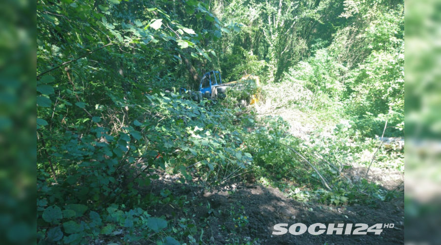  &copy;&nbsp;Фото с сайта sochi24.tv