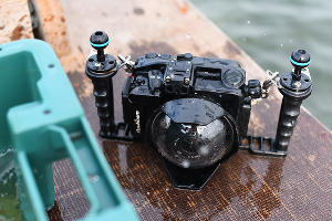 Раскопки в Фанагории. Уцелевшая гробница позднеантичной эпохи © Фото Елены Синеок, Юга.ру