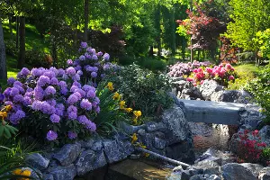 Весна в Японском саду парка &laquo;Краснодар&raquo; &copy;&nbsp;Фото Марины Солошко, Юга.ру