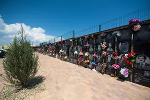  &copy;&nbsp;Фото Елены Синеок, Юга.ру