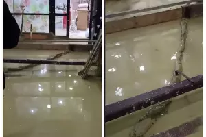  &copy;&nbsp;Скриншот из телеграм-канала SOCHI1.RU https://t.me/sochi1news/18677