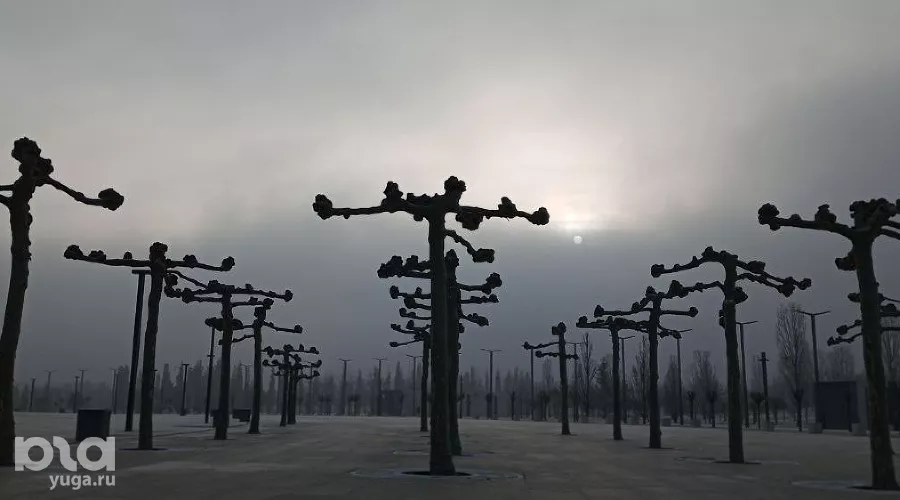  &copy;&nbsp;Фото Андрея Малёваного