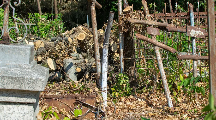 Разрушения Всесвятского кладбища во время вырубки в сентябре 2023 года &copy;&nbsp;Фото Александра Гончаренко, Юга.ру