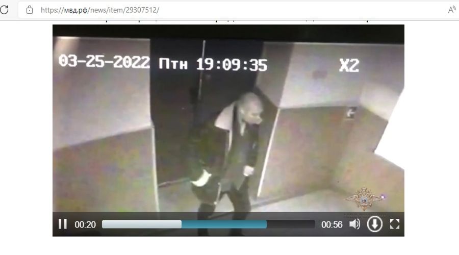  © Кадр из оперативной съемки, скриншот с сайта мвд.рф