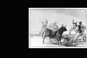  &copy;&nbsp;Скриншот из электронного письма от пресс-службы Краснодарского музея имени Коваленко