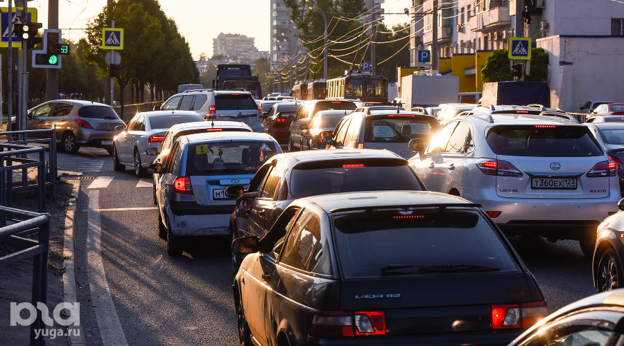  © Фото Елены Синеок, Юга.ру