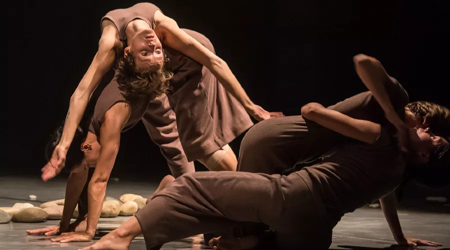 Спектакль «Камни со дна реки»  &copy;&nbsp;Фото Елены Синеок, Юга.ру