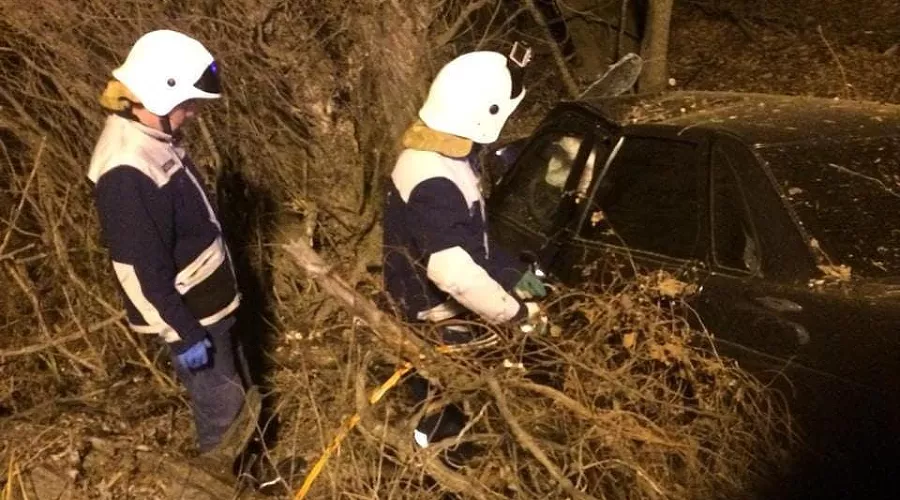  &copy;&nbsp;Фото из инстаграма Управления по делам ГО и ЧС Белореченского района, instagram.com/go_i_chs_belorechensk/