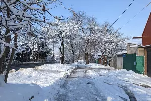  &copy;&nbsp;Фото Александры Прохоренковой-Аксеновой, Юга.ру