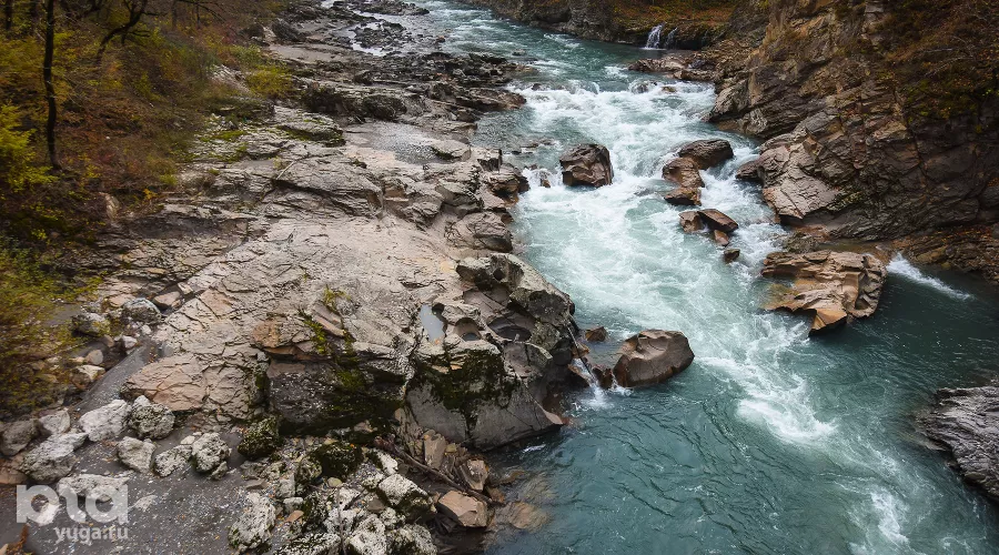  &copy;&nbsp;Фото Елены Синеок, Юга.ру