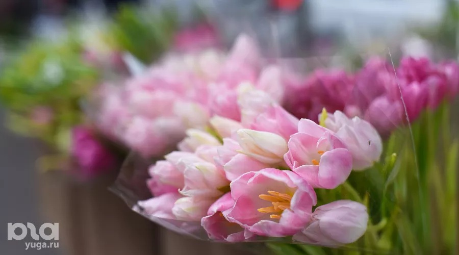  &copy;&nbsp;Фото Елены Синеок, Юга.ру