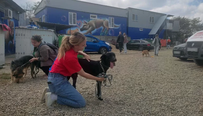 Ксения и Босяк в приюте «Краснодог» &copy;&nbsp;Фото Иолины Грибковой, Юга.ру