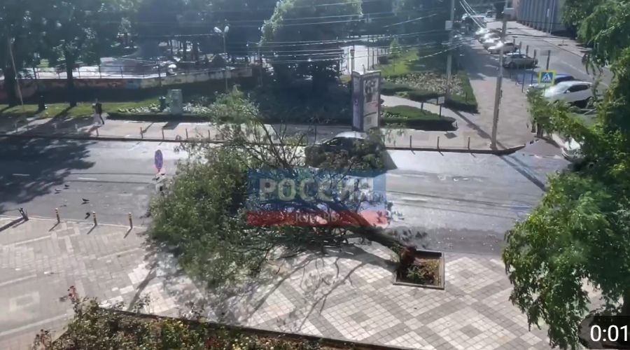 Упавшее дерево на улице Рашпилевской, 8 июля 2023 г. © Скриншот видео в телеграм-канале «Россия. Кубань. Новости», T.me/russiakuban