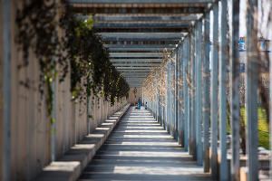 Парк «Краснодар»  &copy;&nbsp;Фото Елены Синеок, Юга.ру