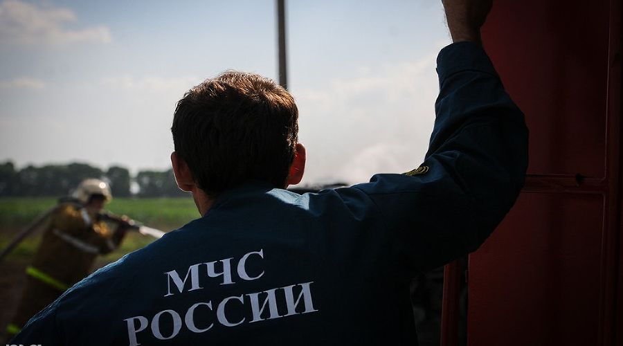  © Фото Елены Синеок, Юга.ру