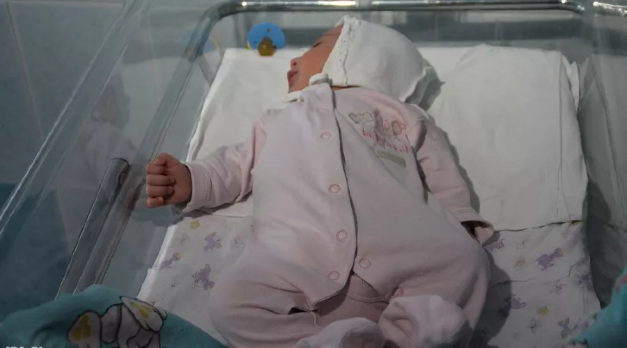  &copy;&nbsp;Фото Юлии Барановой, Юга.ру