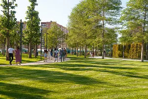 Парк «Краснодар» открылся после карантина &copy;&nbsp;Фото Дмитрия Леснова, Юга.ру