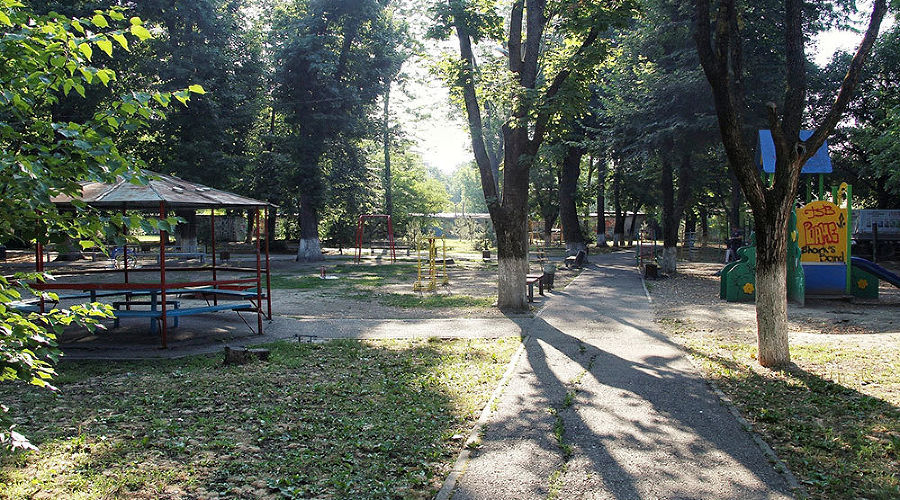  © Фото пресс-службы администрации Краснодара