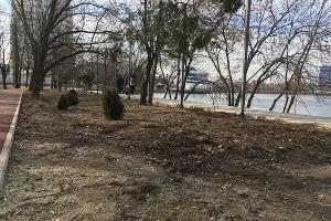 Парк у стадиона &laquo;Кубань&raquo;, январь 2023 &copy;&nbsp;Фото Александра Гончаренко, Юга.ру