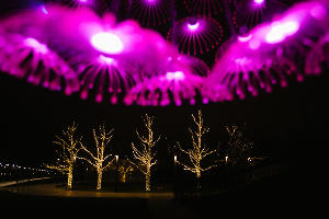 Новогодний парк &laquo;Краснодар&raquo; &copy;&nbsp;Фото Дениса Яковлева, Юга.ру