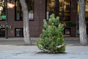  &copy;&nbsp;Фото пресс-службы администрации Анапы