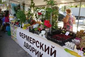  &copy;&nbsp;Фото пресс-службы администрации Анапы