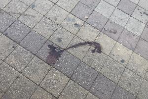 Место преступления © Фото Валерии Дульской, Юга.ру