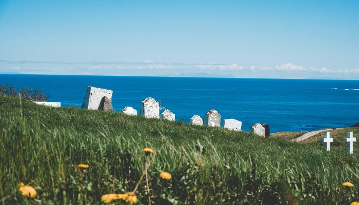  &copy;&nbsp;Фото Rod Long, unsplash.com