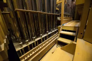  &copy;&nbsp;Фото Елены Синеок, Юга.ру