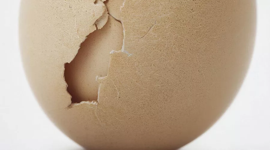 яйца &copy;&nbsp;Изображение сгенерировано нейросетью Gigachat