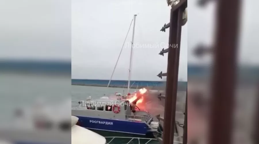  &copy;&nbsp;Скриншот видео из телеграм-канала &laquo;Любимый Сочи&raquo;, t.me/love_sochi